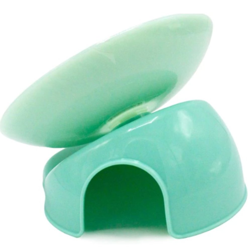 Small Syrian Hamster Saucer